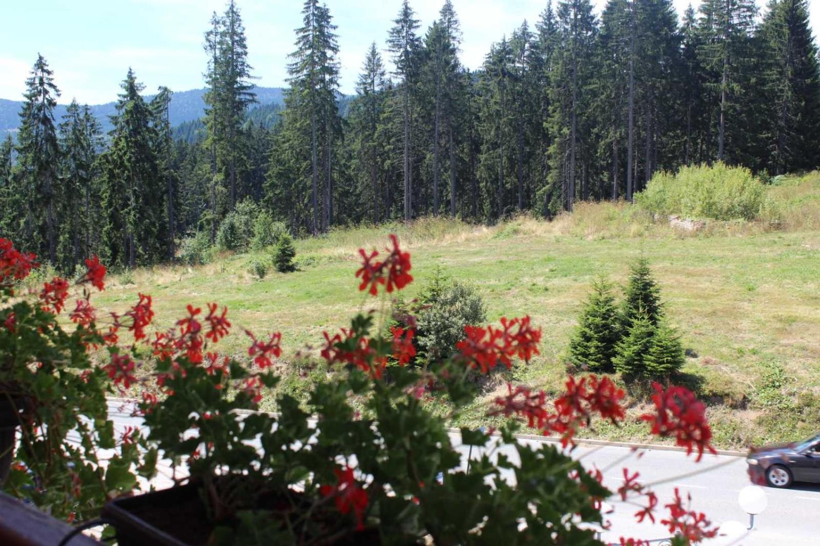 In Hotel Zlatar Ex Zlatarski Biseri Нова-Варош Экстерьер фото